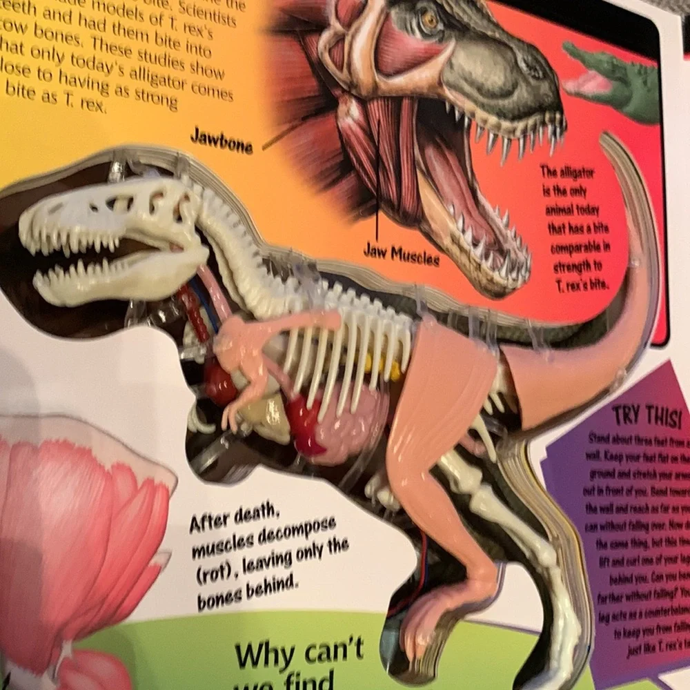 Uncover a T. Rex book 3D model dinosaur Dino anatomy facts learning ages 8+ VGUC